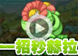 洛克王国一招秒赫拉