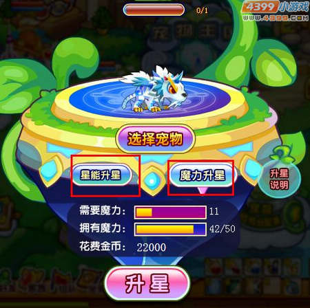 龙斗士宠物魔力升星 免费升星