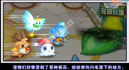 龙斗士宠物王国