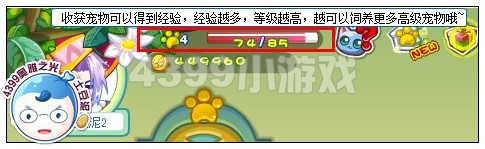 奥雅之光怎么才能提高宠物饲养等级