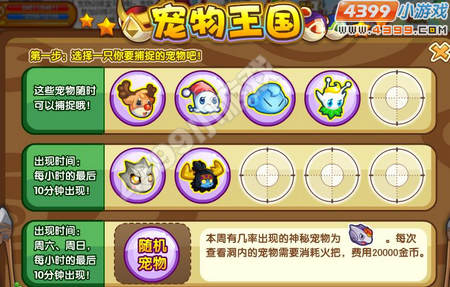 龙斗士宠物王国哈迪斯登场