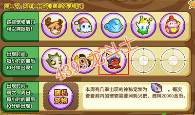 龙斗士章鱼船长驾临宠物王国
