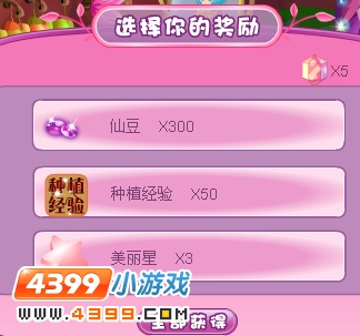 小花仙圣诞时尚之梦