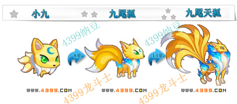 龙斗士九尾天狐