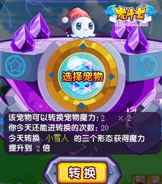 龙斗士宠物魔力大转换