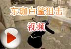 CF东珈白鲨狙击视频 我们会继续努力的
