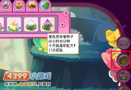 小花仙开花时间怎么查看