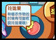 洛克王国玲珑果怎么得