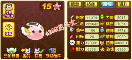 龙斗士天使波利60级15星属性