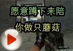 CF灰姑娘梧桐 愿意蹲下来陪你做只蘑菇