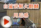 CF白鲨讲解AK47-火麒麟使用后的感觉