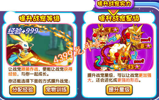 龙斗士怎么提升战宠实力