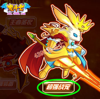 龙斗士宠物图鉴在哪