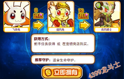 龙斗士疾风骑士守护什么