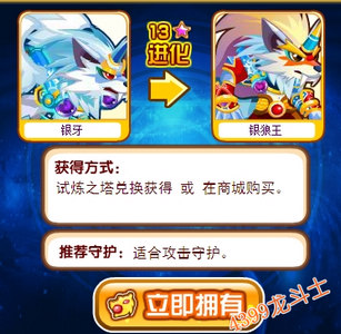 龙斗士银牙守护什么