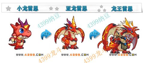 龙斗士龙王雷恩
