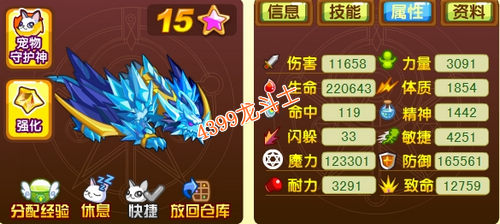 龙斗士玄冰守护什么