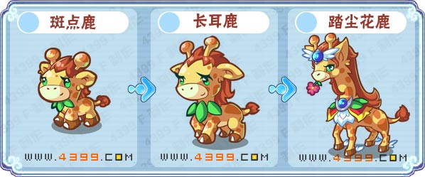 卡布西游踏尘花鹿在哪 怎么得