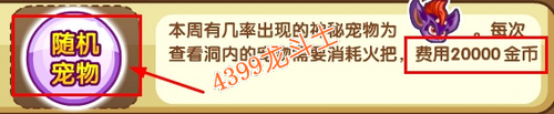 龙斗士宠物王国火把怎么得