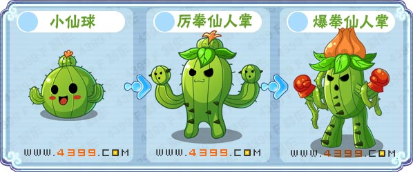 卡布西游爆拳仙人掌刷什么 练级