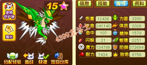 龙斗士凌风63级15星属性 守护