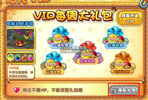 洛克王国VIP特权
