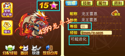 龙斗士战宠进化解析
