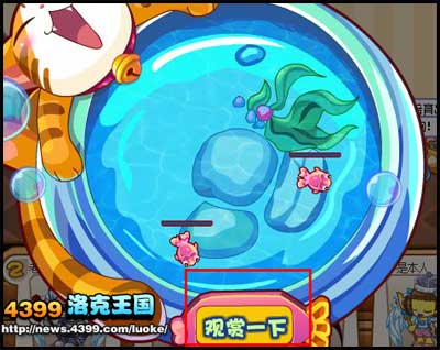 洛克王国鱼宝宝养成记