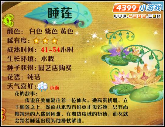 小花仙睡莲