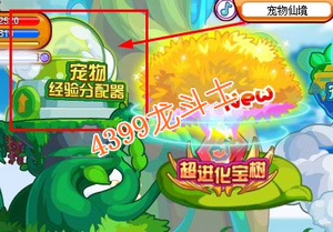 龙斗士战宠快速升级攻略 