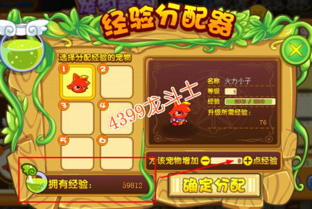 龙斗士宠物快速升级攻略