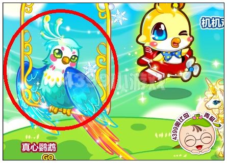 奥比岛真心鹦鹉幼仔怎么得