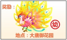 奥比岛金翎彩雀梦幻开屏