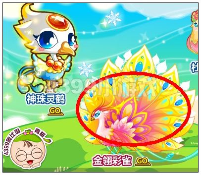 奥比岛金翎孔雀幼仔怎么得