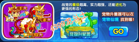 龙斗士宠物升星攻略
