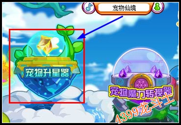 龙斗士宠物升星器在哪