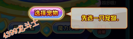 龙斗士宠物升星