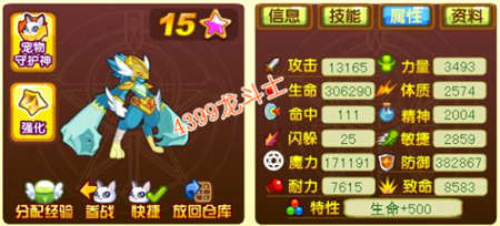 龙斗士斯巴达65级15星属性 守护