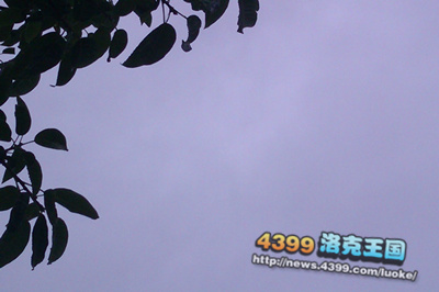 小编心情日记5月15号 多雾的天空