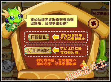 龙斗士宠物孵化之后在哪