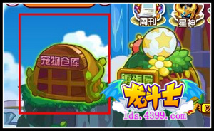 龙斗士宠物仓库在哪