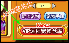 龙斗士宠物仓库在哪