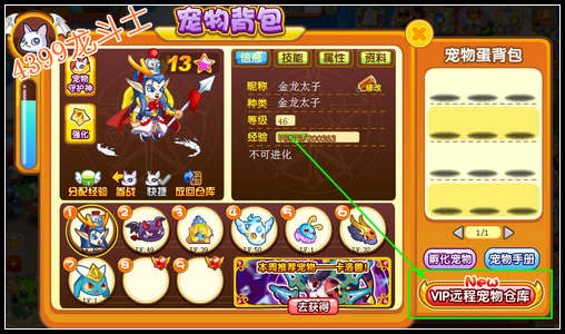 龙斗士宠物仓库在哪