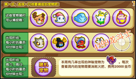 龙斗士宠物在哪抓