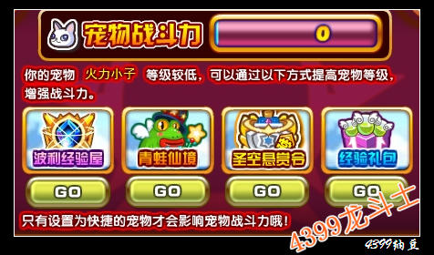 龙斗士宠物战斗力怎么得