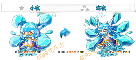 龙斗士寒夜