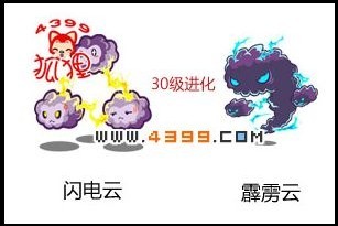洛克王国热门辅助宠大集合