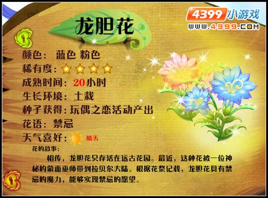小花仙龙胆花 小花仙龙胆花花种
