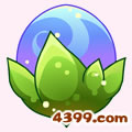 小花仙龙胆花 小花仙龙胆花花种