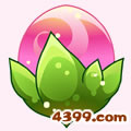 小花仙龙胆花 小花仙龙胆花花种
